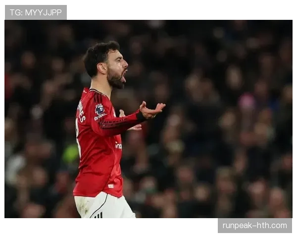 B费争议不断却不可替代的核心原因解析